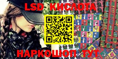 PSILOCYBIN Нальчик