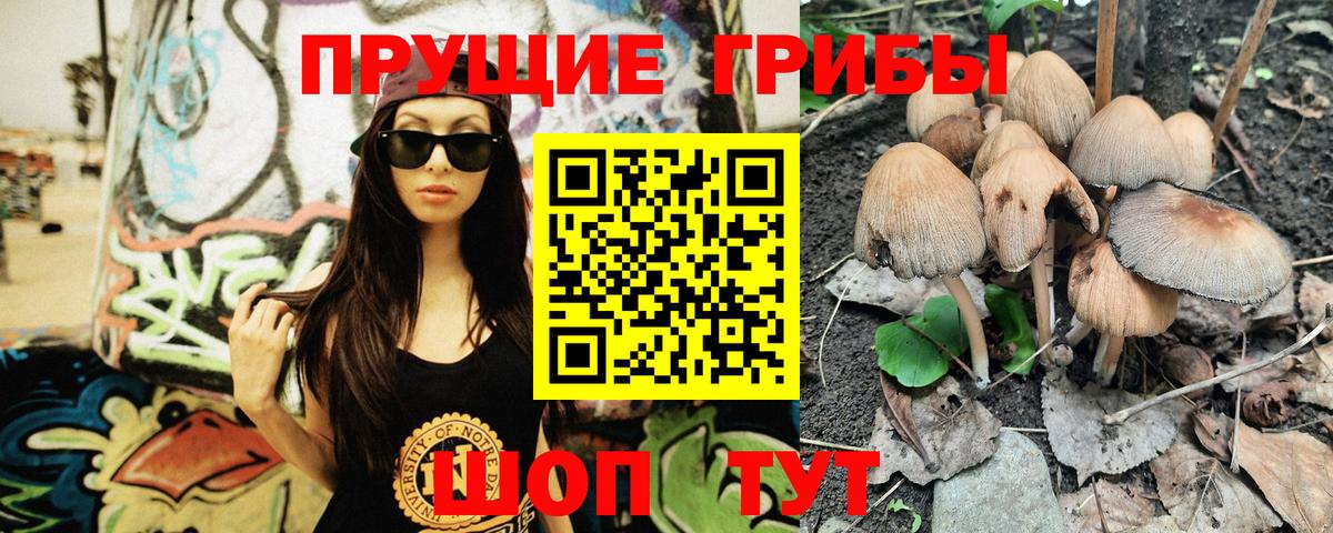 продажа наркотиков  Псилоцибиновые грибы Magic Shrooms  Вход с VPN  Новороссийск 